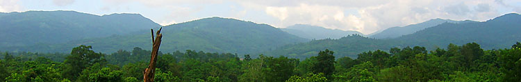 vue sur la jungle de l'&eacute;tat karen