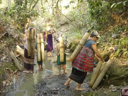 karen dans la jungle