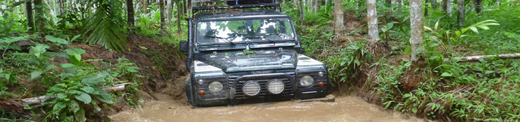 jungle en land rover pr&egrave;s de taungoo