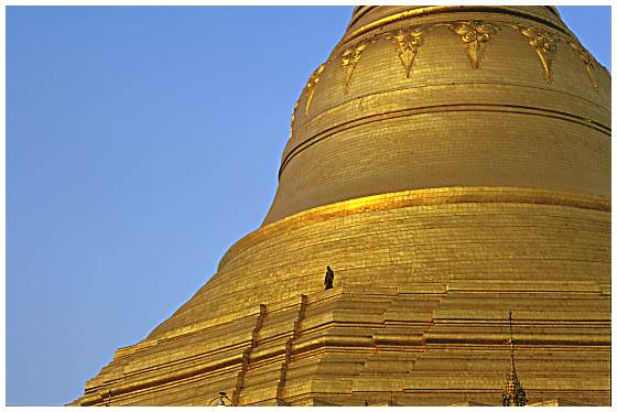 shwedagon pagoda in Yangon, Burma