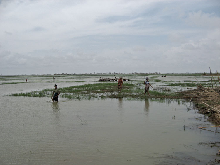 personne marchant dans les rizieres inond&eacute;s