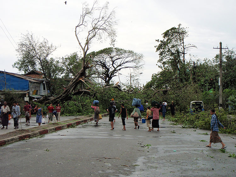 photo cyclone nargis3 mai route barr&eacute;e chute d'arbre yangon