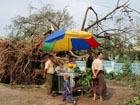 vendeur de fruit pr&egrave;s d'un arbre tomb&eacute; &agrave; yangon