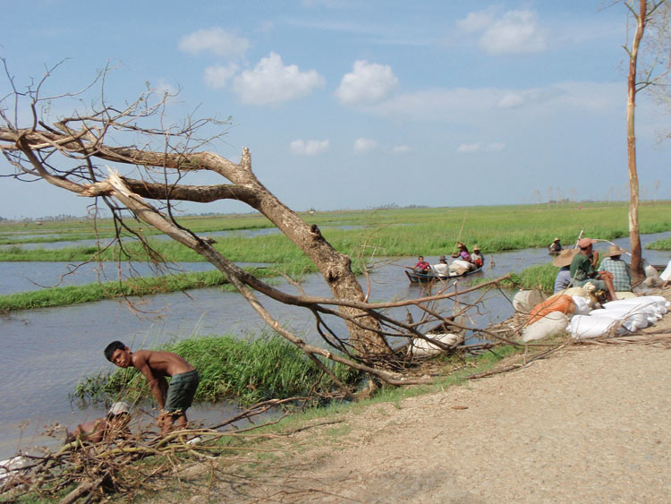 transport riz en pirogue pr&egrave;s de bokkal&eacute;