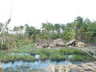 maison d&eacute;truite route de bokkal&eacute;