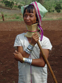 femmes padaung au champ